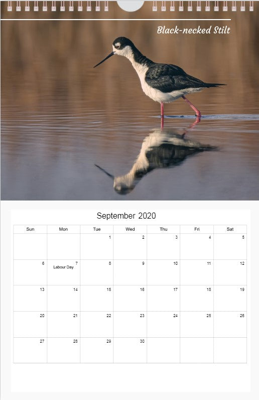 2020 Calendar